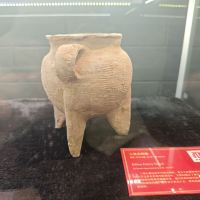 評論圖片 6