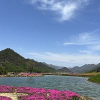 評論圖片 5