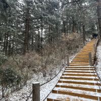 評論圖片 2