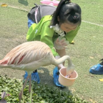 評論圖片 7