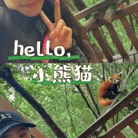 評論圖片 6