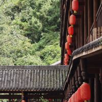 評論圖片 3