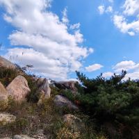 評論圖片 1