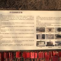 評論圖片 5