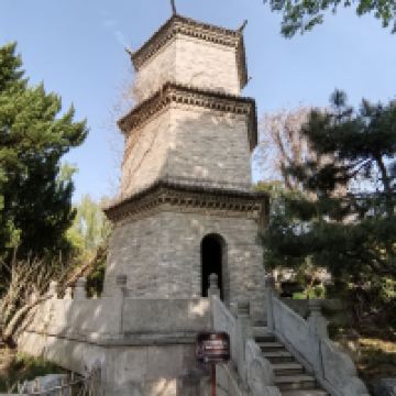 評論圖片 5