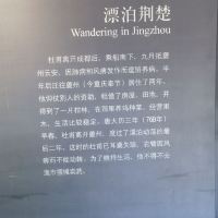 評論圖片 5