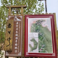評論圖片 9
