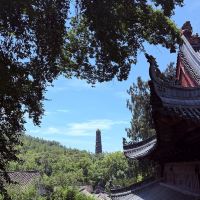 評論圖片 1