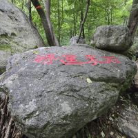 評論圖片 5