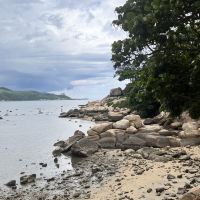 評論圖片 1