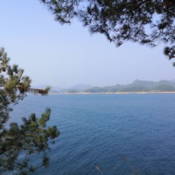 評論圖片 2