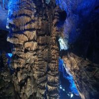 評論圖片 9