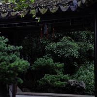 評論圖片 4
