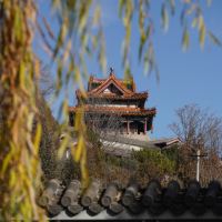 評論圖片 3