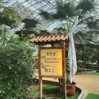 評論圖片 3