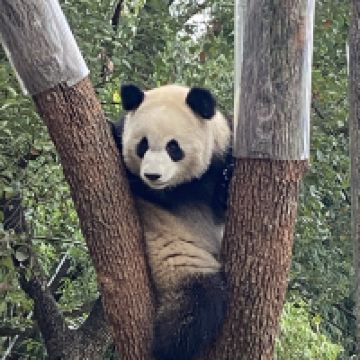 評論圖片 1