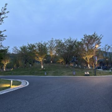 評論圖片 4