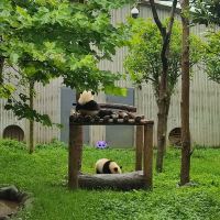 評論圖片 7