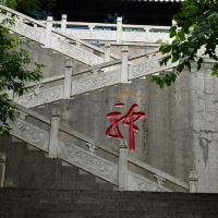 評論圖片 7