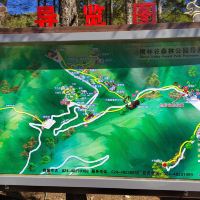 評論圖片 2