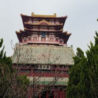 評論圖片 5
