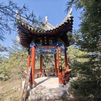 評論圖片 5