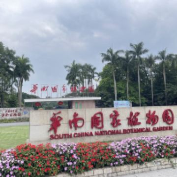 評論圖片 1