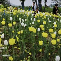 評論圖片 5