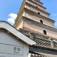 評論圖片 6