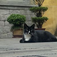 評論圖片 6