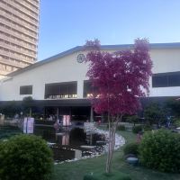 評論圖片 8