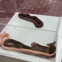 評論圖片 3