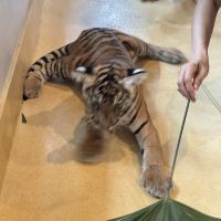 評論圖片 3