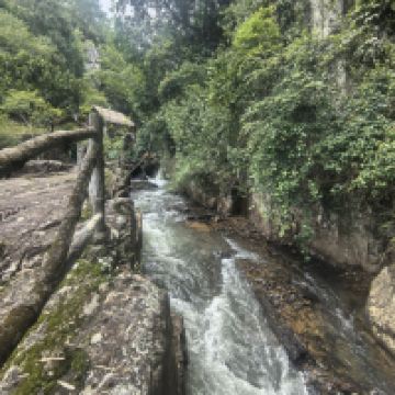 評論圖片 4