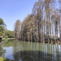 評論圖片 4