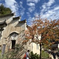 評論圖片 1