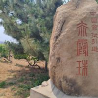 評論圖片 4