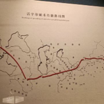 評論圖片 5