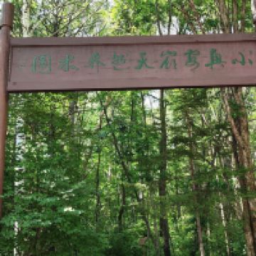 評論圖片 1