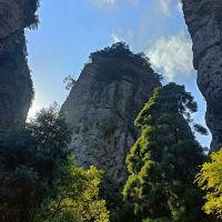 評論圖片 9