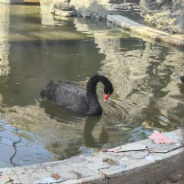 評論圖片 7