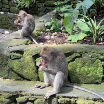評論圖片 1