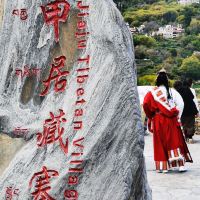 評論圖片 5