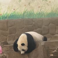評論圖片 1