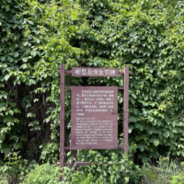 評論圖片 1