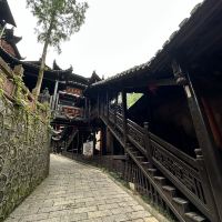 評論圖片 6