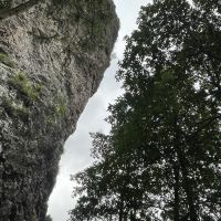 評論圖片 4