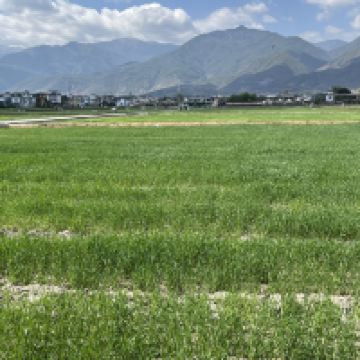 評論圖片 4