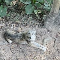 評論圖片 5