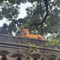 評論圖片 3